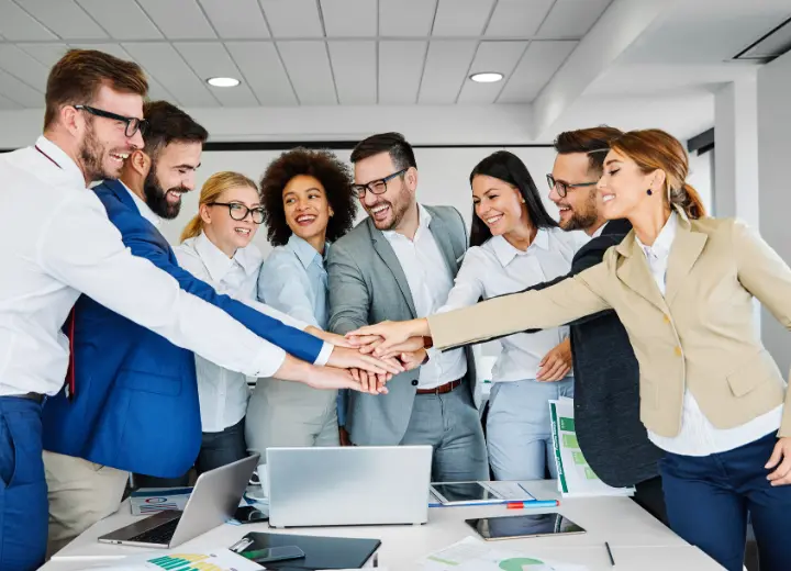Dunamis Solutions-missions manageriales